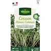 Image de Cresson Alénois Frisé | Vilmorin Jardin