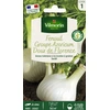 Image de Fenouil Doux de Florence | Vilmorin Jardin