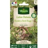 Image de Laitue Batavia Blonde à Bord Rouge 5 - Légumes d'Autrefois | Vilmorin Jardin