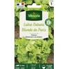 Image de Laitue Batavia Blonde de Paris | Vilmorin Jardin