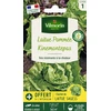 Image de Laitue Pommée Kinemontepas + échantillon Sagess | Vilmorin Jardin