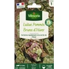 Image de Laitue d'Hiver Brune d'Hiver | Vilmorin Jardin