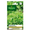 Image de 3609742 Pack De Graines Laitue A Couper Salade Bol Vert