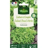 Image de Laitue à couper Salad Bowl verte | Vilmorin Jardin