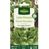 Image de Laitue Romaine Blonde Maraîchère | Vilmorin Jardin