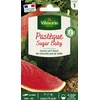 Image de Pastèque Sugar Baby | Vilmorin Jardin