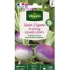 Image de Navet-Légume de Nancy à Feuille Entière | Vilmorin Jardin
