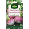 Image de Navet-Légume Rave d'Auvergne Hâtive | Vilmorin Jardin