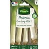 Image de Poireau Gros Long d'Eté 2 | Vilmorin Jardin