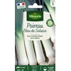 Image de Poireau bleu de Solaise | Vilmorin Jardin