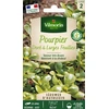 Image de Pourpier Doré à larges feuilles - Légumes d'Autrefois | Vilmorin Jardin