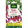 Image de Radis de 18 Jours avec graines de Radis Expo HF1 offertes | Vilmorin Jardin
