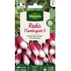 Image de Radis Flamboyant 5 | Vilmorin Jardin