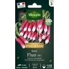 Image de Radis Fluo HF1 - Graines d'Exception | Vilmorin Jardin