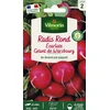 Image de Radis Rond Ecarlate Géant de Würzbourg | Vilmorin Jardin