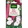 Image de Radis Rose d'Hiver de Chine | Vilmorin Jardin