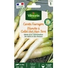 Image de Carotte Fourragère Blanche à Collet Vert Hors Terre | Vilmorin Jardin