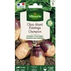 Image de Rutabaga Champion (à Collet Rouge) - Légumes d'Autrefois | Vilmorin Jardin