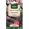 Image de Betterave Potagère Crapaudine - Légumes d'Autrefois | Vilmorin Jardin