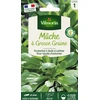 Image de Mâche à Grosse Graine | Vilmorin Jardin