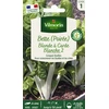 Image de Poirée Blonde à Carde Blanche 2 | Vilmorin Jardin