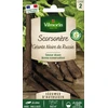 Image de Scorsonère Géante Noire de Russie - Légumes d'Autrefois | Vilmorin Jardin