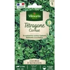Image de Tétragone Cornue - Légumes d'Autrefois | Vilmorin Jardin