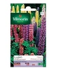 Image de Sachet graines Lupin de russel varié