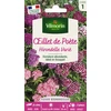 Image de  illet de Poète Hirondelle Varié | Vilmorin Jardin
