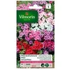 Image de phlox de drummond a grande fleur varié