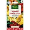 Image de Capucine diamant variée | Vilmorin Jardin