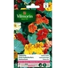 Image de 5191343 Pack De Graines Capucine Valina Variée