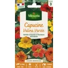 Image de Capucine Valina Variée | Vilmorin Jardin