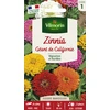 Image de Zinnia géant de Californie mix | Vilmorin Jardin