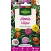 Image de Zinnia Nain Lilliput | Vilmorin Jardin