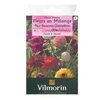 Image de 5859542 Pack De Graines Fleur Pour Bouquets Champêtres