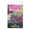Image de 5860943 Pack De Graines Fleur Vivace Pour Rocaille