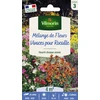 Image de Fleurs Vivaces pour Rocaille - 4 m² - Mélange de fleurs | Vilmorin Jardin