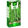 Image de Haricot Nain Vert Triomphe de Farcy | Vilmorin Jardin