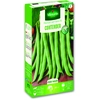 Image de Haricot Nain Vert Contender | Vilmorin Jardin