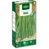 Image de Haricot Nain Vert Primel | Vilmorin Jardin