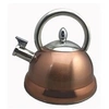 Image de Bouilloire à sifflet en inox 3l stainless_steel