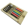 Image de Coffret 6 cuilleres cafe tonic mix dubost colas pradel loo60301ton