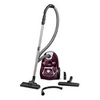 Image de Aspirateur traineau 900w 75db prune ro3969ea