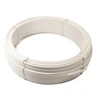 Image de Fil Tension Blanc D2,75Mm L20M
