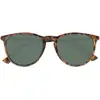 Image de Isotoner - Lunette de soleil mixte Ovale Ecaille