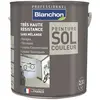 Image de Peinture pour sols gris clair satiné Blanchon 2,5L