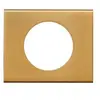 Image de Plaque Céliane Bronze Doré -1 poste