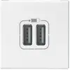 Image de Double chargeur USB A 1 poste Mosaic blanc Legrand