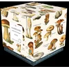 Image de Puzzle champignons 1000 pièces